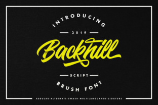 Backhill Display Typeface for Handmade Branding and Labels
