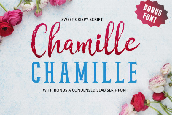 Chamille Script: A Sweet Hand-Lettered Typeface for Crafters