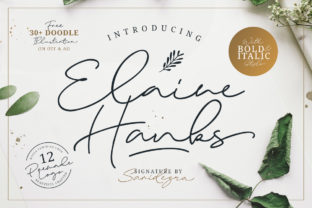Elaine Hanks: A Handwritten Font for Authentic Campaign Design