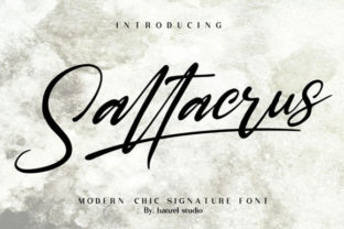 Saltacrus: The Signature Font for Polished Brand Visuals